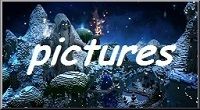 Minecraft pictures island pvp skyblock server075